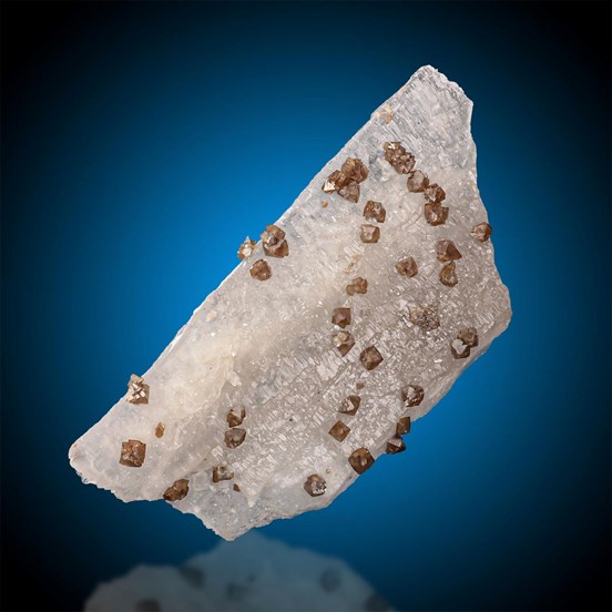 Scheelite-Zinnwald | Altenberg | Erzgebirge | Saxony | Germany